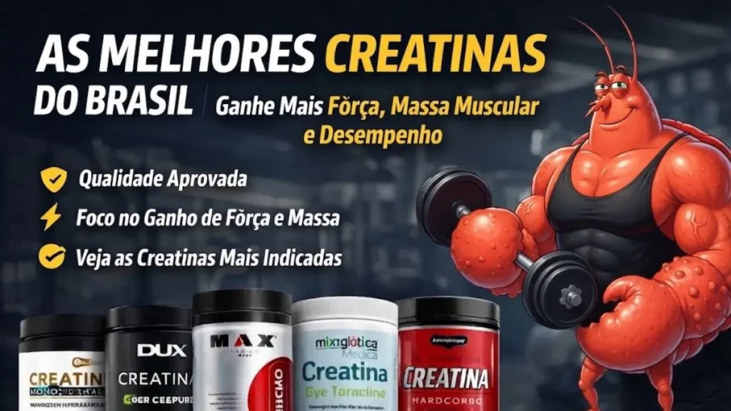 Top 5 melhores creatinas do momento: veja quais realmente valem a pena